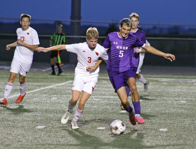 Area roundup: Eagles fly past Cardinals